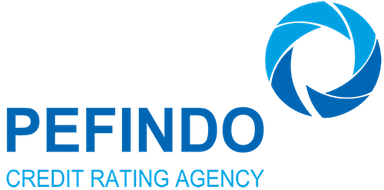 Company Name