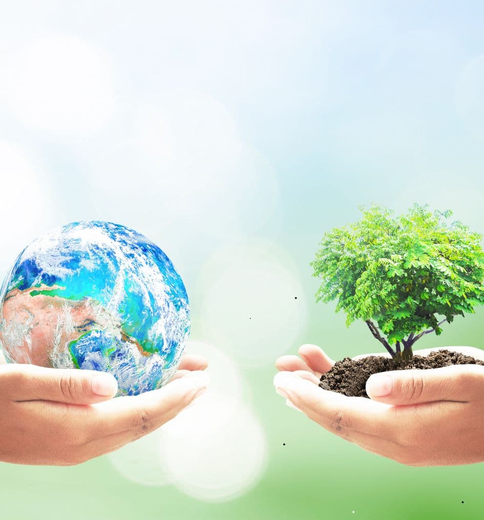 Environment